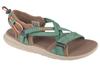 Сандалии W, Женские зеленые сандалии
