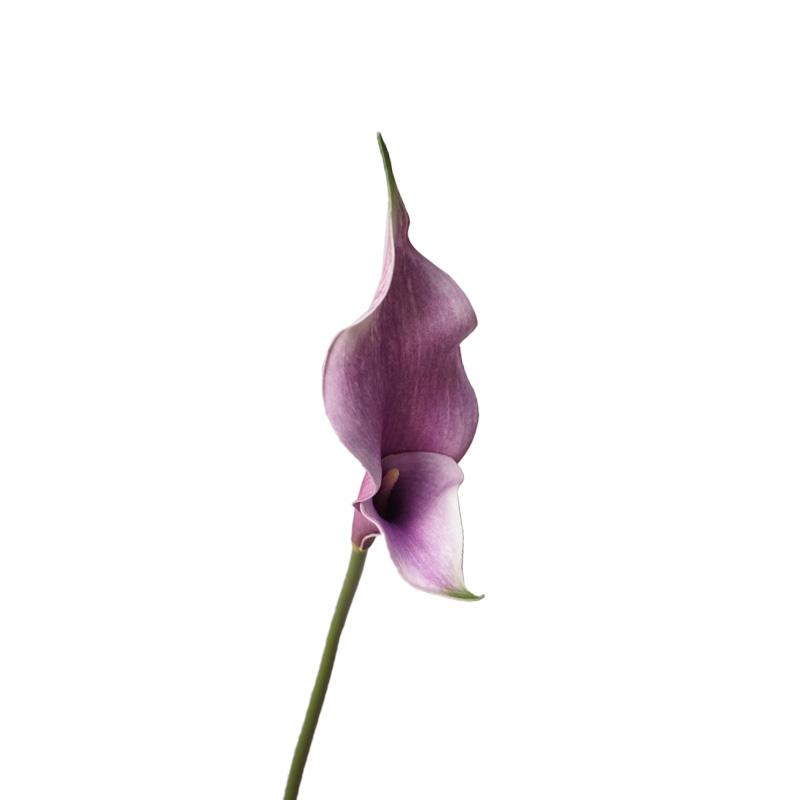 1 шт. модный искусственный цветок домашний декор поддельное растение настоящее прикосновение калла лилия реквизит для фотосъемки