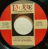 7-дюймовая пластинка DION THE BELMONTS A Teenager In Love LR3027 Laurie Records US Rock Б/у