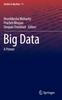 Книга Big Data : A Primer : 11