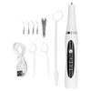 Ultrasonic Dental Cleaner Calculus Plaque Tartar Remover Tooth Stains Cleaning Electric Tooth