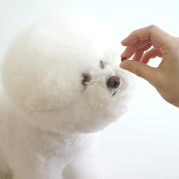 Dingdok I'm a Little Training Treat - Вяленая закуска для обучения работе с носом