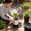 Garden Planting Tray With Breathable Pp Base For Greenhouse And Home Gardening