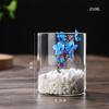 Transparent Glass Hydroponic Vase Modern Small Cylinder Flower Centerpiece Vases Use for Floral Wedding Home Decoration