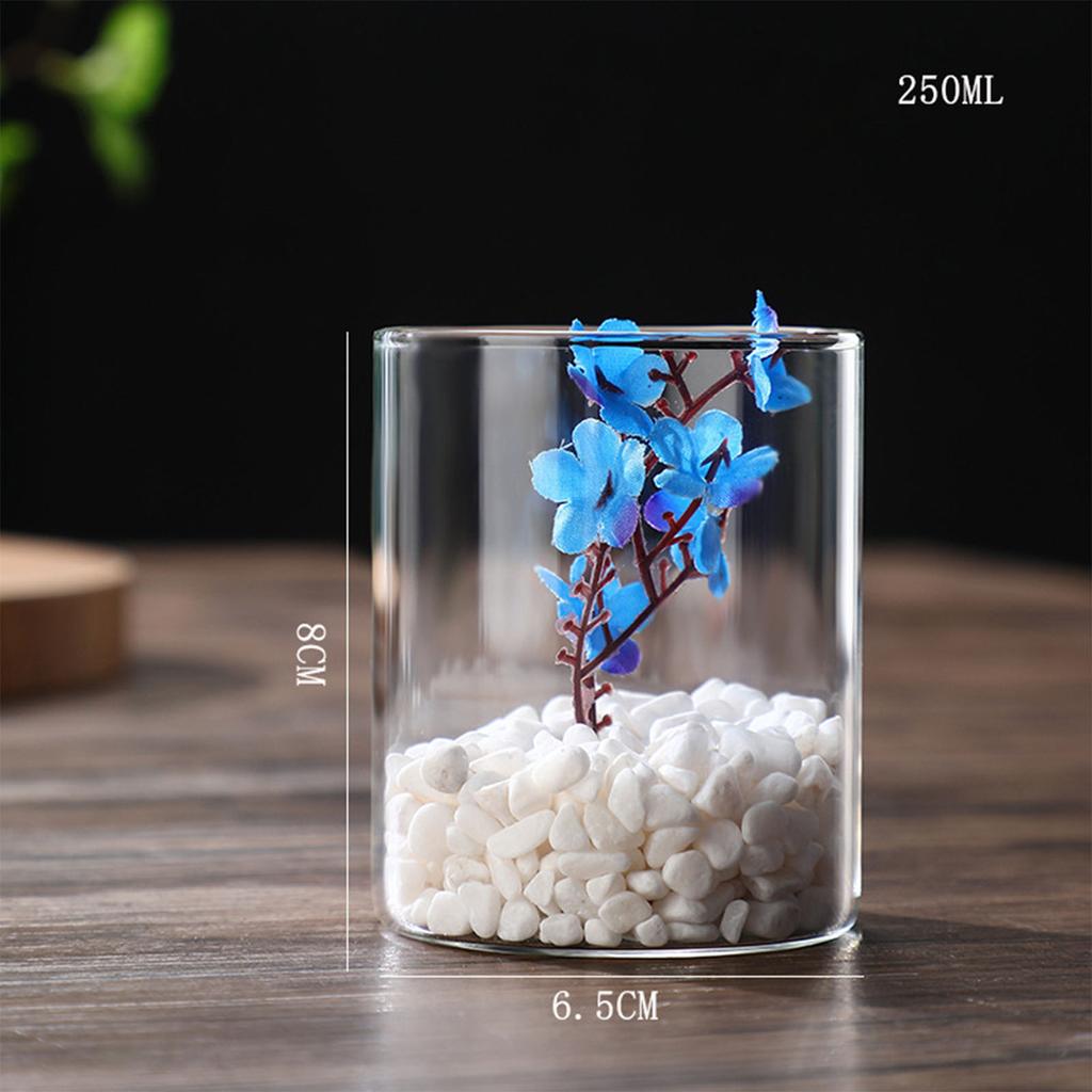 Transparent Glass Hydroponic Vase Modern Small Cylinder Flower Centerpiece Vases Use for Floral Wedding Home Decoration