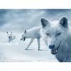 5D DIY алмазная живопись животное волк полный круглый горный хрусталь вышивка художественная картина горный хрусталь мозаика украшение дома подарок
