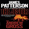 The Jester by Andrew Gross Paperback Book 9780755349463