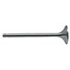 Exhaust Valve 37x9 141mm STEYR 131100050015