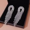 Luxurious Diamond Tassel Earrings: Shimmering, High-End Fashion for Exquisite European & American Style Party Wear.