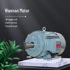 Wannan Motor Серия TYCP2 Трехфазный ПМС-двигатель с регулируемой частотой