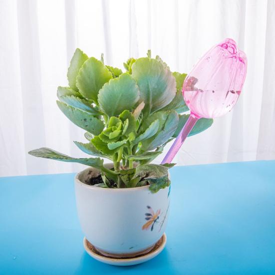 Пластиковые поливочные колбы в форме тюльпана, самополивающийся вкладыш для кашпо, автоматический шар для полива растений для комнатных и уличных растений