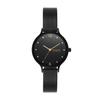 Watch ANITA SKW3112 Black [Skagen] Women's