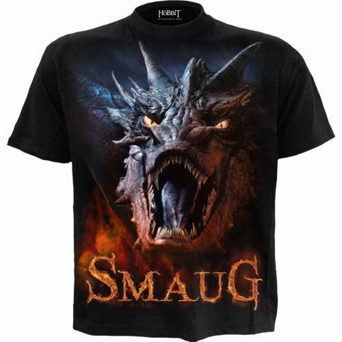 The Hobbit Unisex Adult Smaug Back Print T-Shirt