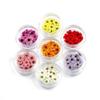 20Pcs/Box Pressed Dried Narcissus Plum Blossom Flower For Epoxy Resin Jewelry Making Nail Art Craft Diy Accessories