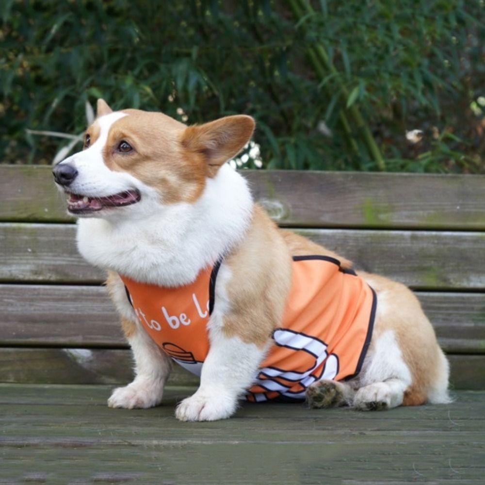 Breathable Dog Bellyband Clothes Anti Dirt Dog Belly Pocket Practical Pet Dog Bib Training