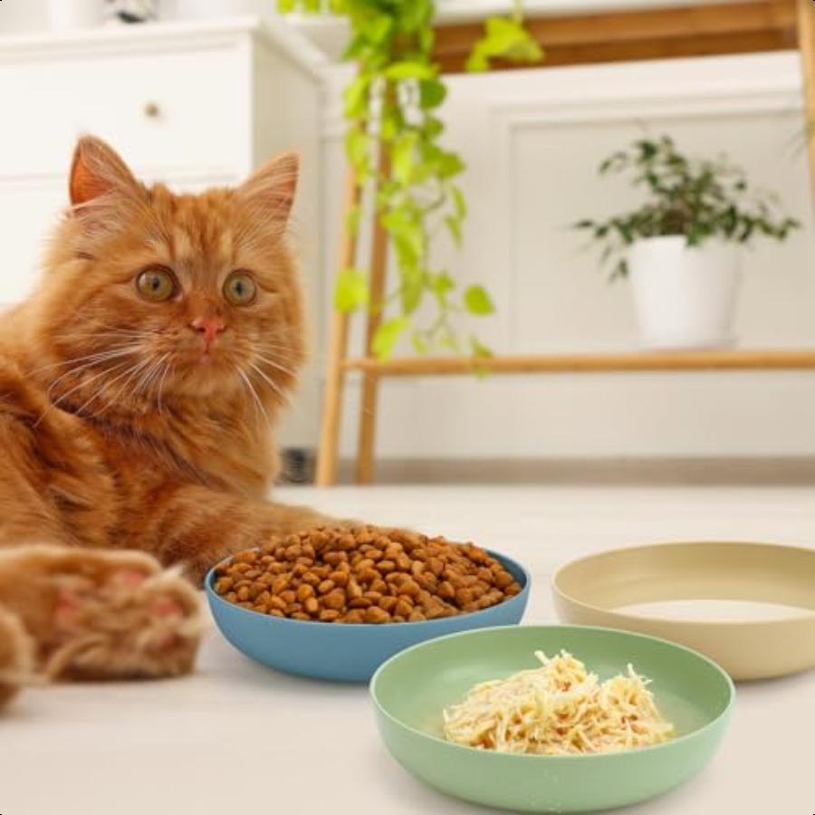 Набор из 20 штук мелких кошачьих мисок 5,5 дюймов пластиковые тарелки для кошачьего корма для влажного корма для котят с короткими лапами