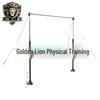 Golden Lion Fitness Training Bars