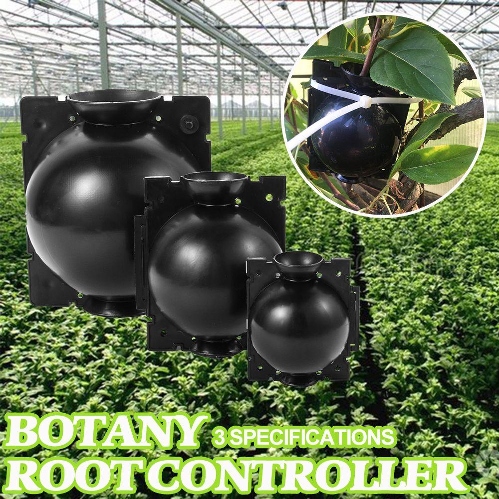 Шар для размножения Ботаника Контроллер корней Кейс для размножения Шар для выращивания рассады Садовое растение