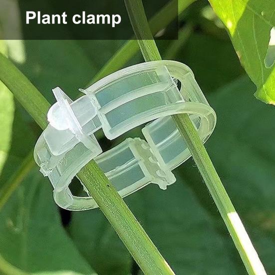 100/200/300 шт. Пластиковые зажимы для растений, многоразовые зажимы для томатной решетки, для вьющихся растений, винограда, огурцов, для использования в помещении и на открытом воздухе