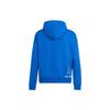 adidas Худи с графическим принтом Originals NAGABAHDYM Унисекс Синий IK4310