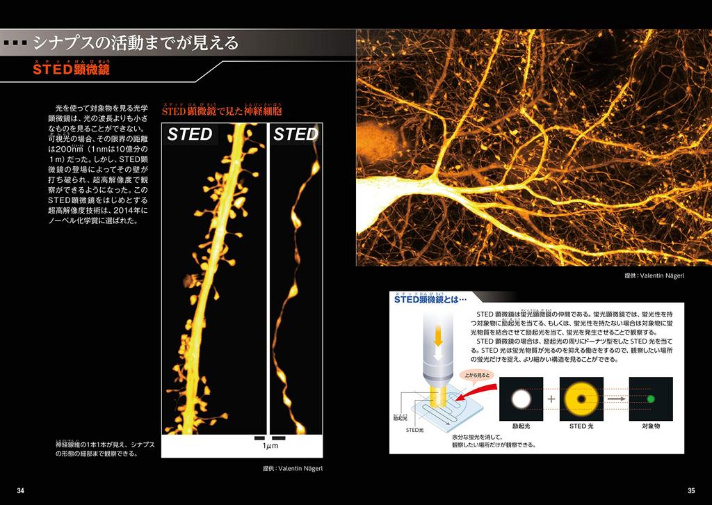 The workings of the brain and mind illustrated guide for (An adults)