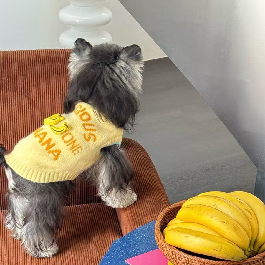 Autumn and winter foreign style cartoon cute style pet dog sweater winter warm love cute cat clothes winter clothing