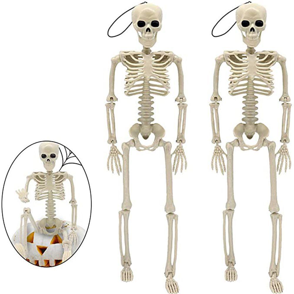 Decoration Skeleton Anatomy Skeleton Human Skeleton Model Car Decoration People Active Model