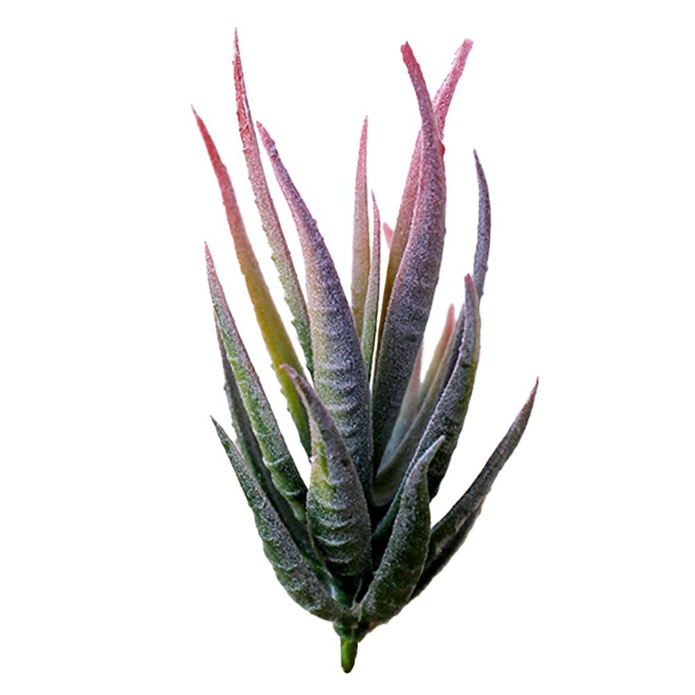 Fake Succulent Plant Simulation Flower Artificial Aloe Plant Easy Maintenance