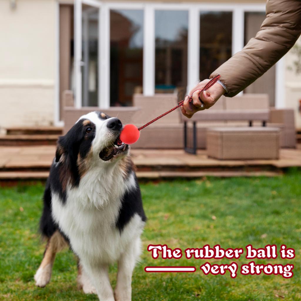4 Pieces Dog Rope Ball Dog Ball On A Rope, Durable Elastic Solid Rubber Balls Interactive Rubber Ball Chew Toys For Small Medium