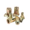 Color Zinc Flat Head Rivet Nuts