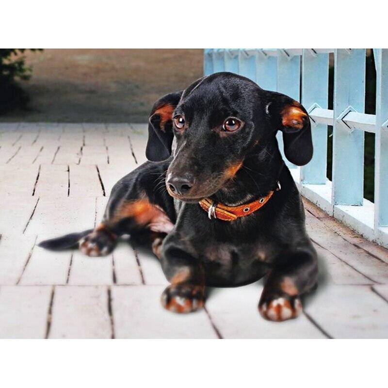 Полный 5D Алмазная картина Живая собака DIY Алмазная вышивка Алмазная мозаика Наборы для вышивки крестом Домашний декор Подарок