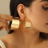 Chic Huggie Hollow Gold Color Hoop Earrings for Women Luxury Trendy Female Wide Circle Punk Earrings Statement Jewelry