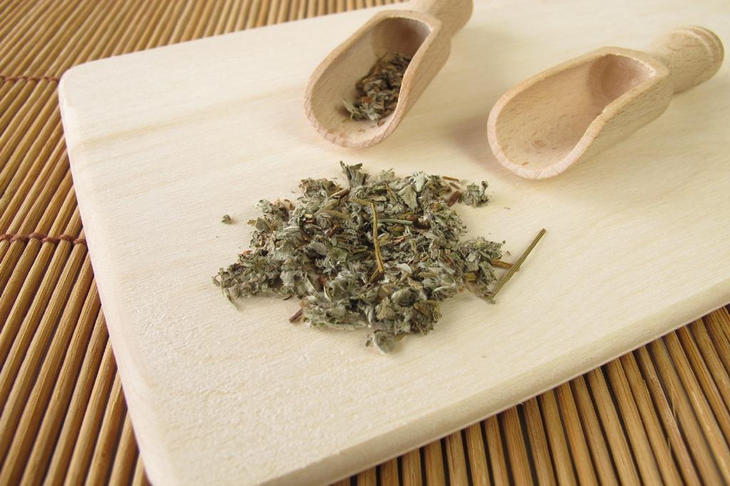 SAFLAX Garden in the Bag - Лапчатка гусиная - 20 семян - С субстратом в подходящем пакете-стойке - Лапчатка гусиная