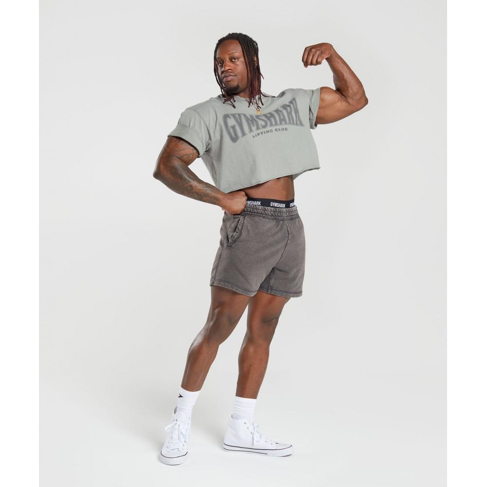 Gymshark Шорты Heritage 5 Оникс Серый A4a8k Gb8n