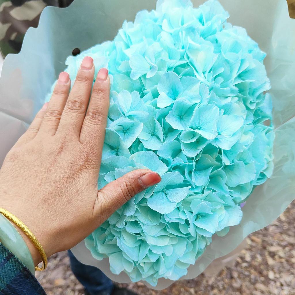 Multi-Color Preserved Bigleaf Hydrangea Single Stem Flower Bouquet for Home Decoration