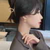 Korean Retro 2025 Trendy Simple Cold Style Earrings for Women