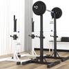 Integrated Squat Rack with Weight Bench