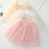 New Girls' Embroidered Mesh Short Skirt Princess Fluffy Half Skirt Floral Short Skirt Dance Skirt