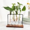 Test Tube Vase for Flowers Plant Terrarium Holder Clear Planter Flower Arrangement Wedding Desk