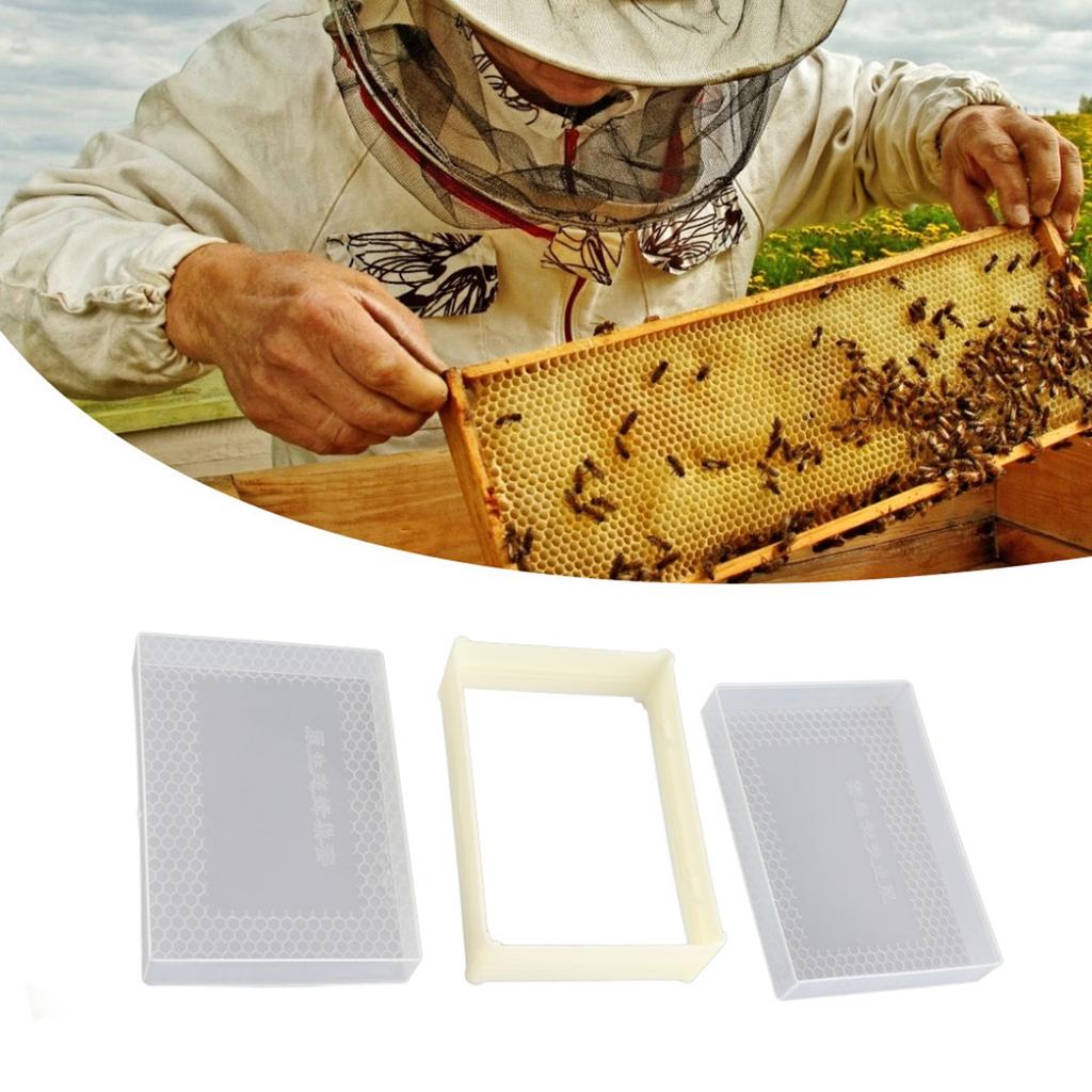 Plastic Beekeeping Comb Beehive Box Frame Set Kit Beekeeper Equipment