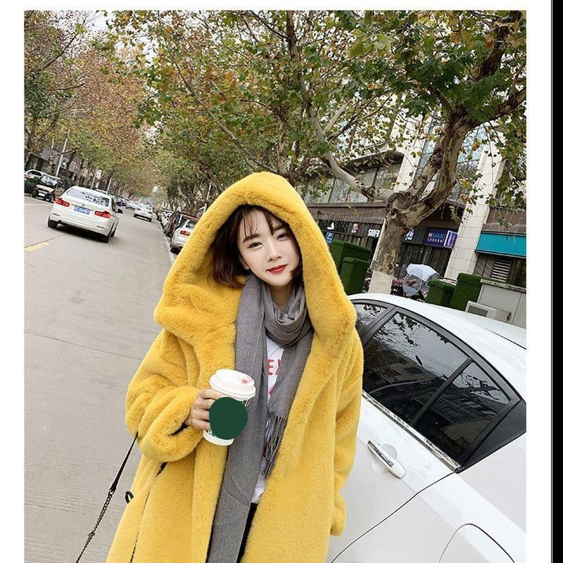 Women's Artificial Fur Coat Women's Autumn And Winter Loose Plush Thickened Hooded  Coat