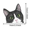 Набор из 2 черно-белых наклеек на машину «Любопытный кот» 5,5"x5,1" Мультяшный дизайн Водонепроницаемые
