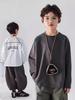 Boys' Long Sleeve T-Shirt: 2025 Spring & Autumn Style, Round Neck, Outdoor Trendy Top for Kids