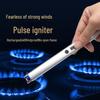 Ветрозащитная перезаряжаемая кухонная и уличная зажигалка для барбекю 002
