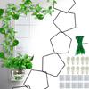 Easy Install Metal Plant Cage Fit for Home Gardening Creepers Climbing Garden Support Enhances Garden Plant Health