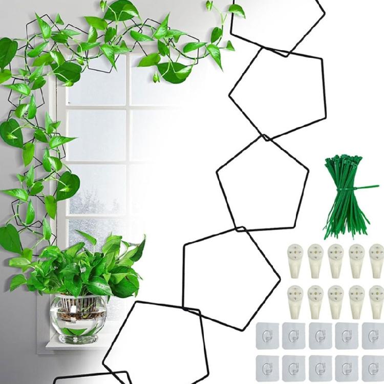 Easy Install Metal Plant Cage Fit for Home Gardening Creepers Climbing Garden Support Enhances Garden Plant Health