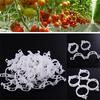 Durable 100pcs Plastic Garden Plant Flowers Tied Bundle Branch Clamp Clip Class Tools Fixing Accessories