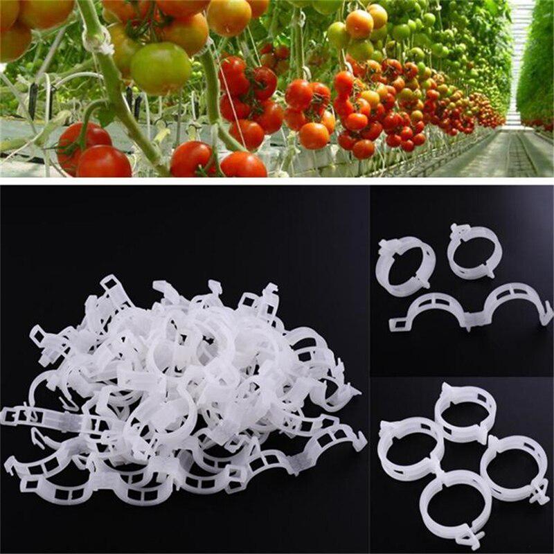  100pcs Plastic Garden Plant Flowers Tied Bundle Branch Clamp Clip Class Tools Fixing Accessories