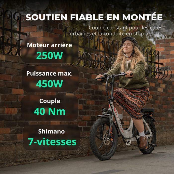 FAFREES F20 - 20" Foldable Electric Bike - 250W Motor - Removable 36V/18Ah 648Wh Battery - 90km Range - Shimano 7 Speeds, Black