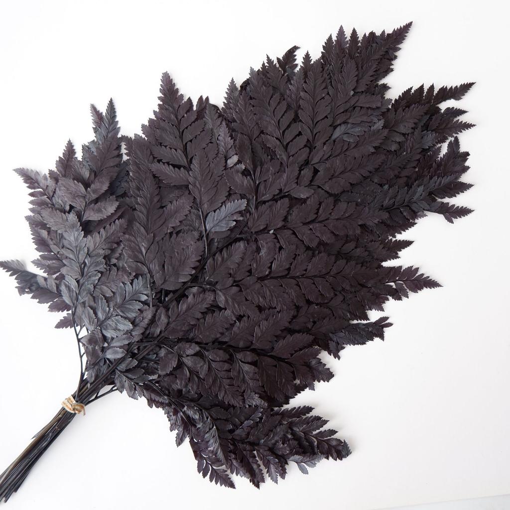 Eternal Alpine Fern Golden Alpine Fern Leaf Immortal Flower Dried Flower Bouquet Wedding Decoration With Grass